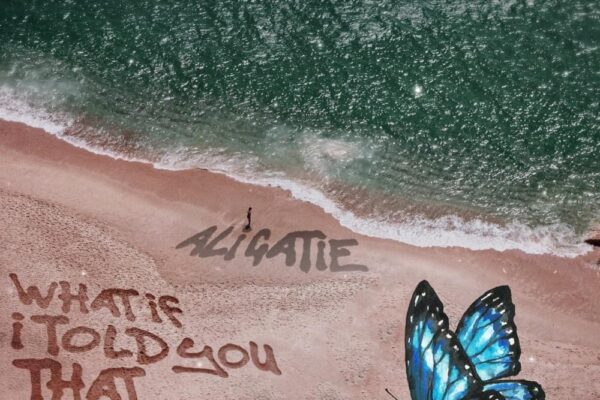 Ali Gatie What If I Told You That I Love You