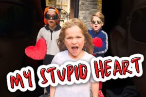 My Stupid Heart Walk Off The Earth Ft Luminati Suns