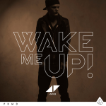 Avicii Wake Me Up