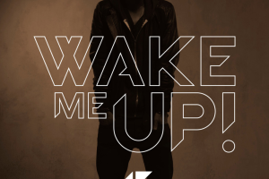 Avicii Wake Me Up